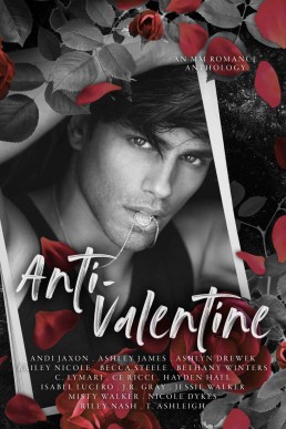 Anti-Valentine: An MM Romance Anthology