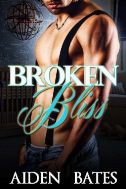 Broken Bliss (Hot Alaska Nights 2) (1521)