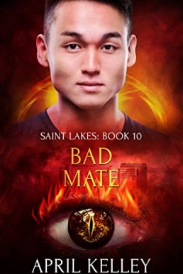 Bad Mate (Saint Lakes Book 10)