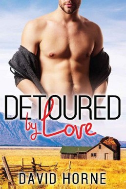 Detoured By Love