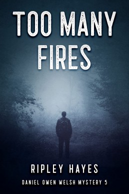 Too Many Fires (Daniel Owen Welsh Mystery #5)