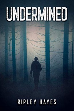 Undermined (Daniel Owen Welsh Mystery #1)