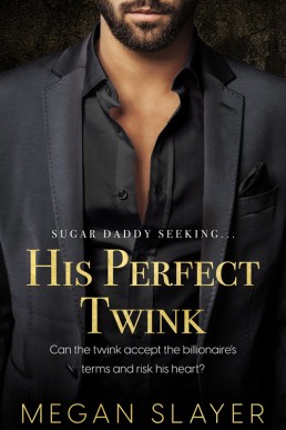 His Perfect Twink (Sugar Daddy Seeking... #1)