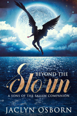 Beyond the Storm (Sons of the Fallen #7.5)