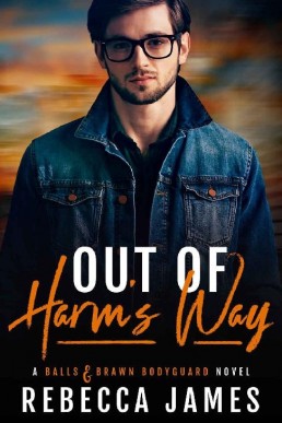 Out of Harm's Way (Balls and Brawn Bodyguard #1)