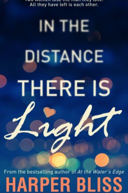 In the Distance There Is Light (Book #1)