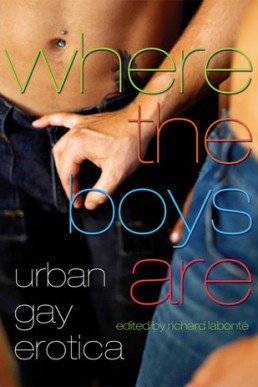 Where the Boys Are: Urban Gay Erotica