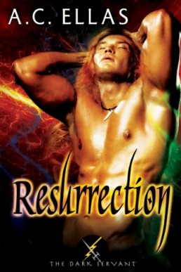 Resurrection (The Dark Servant 4)