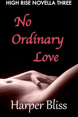 No Ordinary Love (High Rise Novella Three)