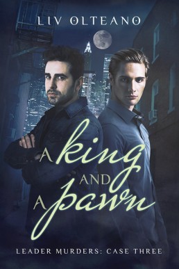 A King and a Pawn (Leader Murders #3)