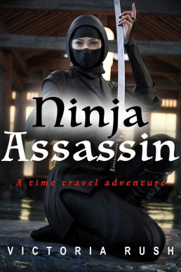 Ninja Assassin: A Time Travel Adventure