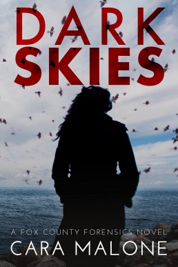 Dark Skies (Fox County Forensics #3)