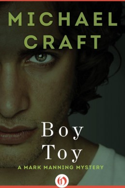 Boy Toy (Mark Manning Mystery 5)