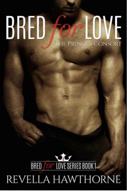 The Prince’s Consort (Bred for Love 1)