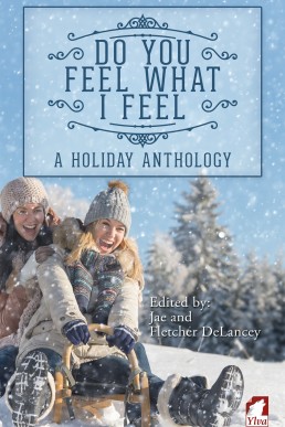 Do You Feel What I Feel: A Holiday Anthology