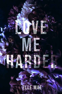 Love Me Harder