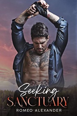 Seeking Sanctuary (Men of Fairlake #3)