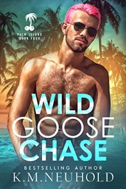 Wild Goose Chase (Palm Island 4)