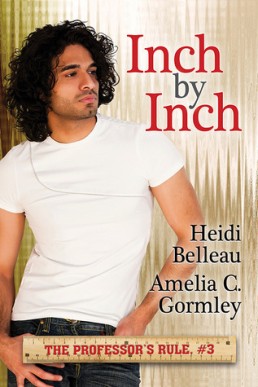 Inch by Inch (The Professor's Rule 3)