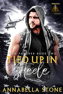 Tied Up In Steele: MM Military Romance / Romantic Suspense (Delta Force Team Panther Book 2)