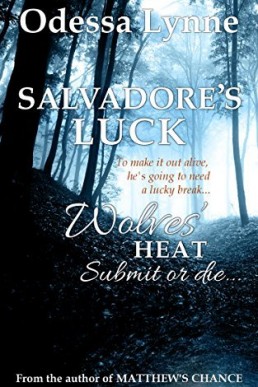 Salvadore's Luck (Wolves' Heat #5)