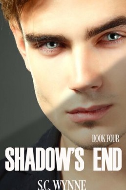 Shadow's End: Psychic Detective Mysteries (Psychic Detective Series Book 4)