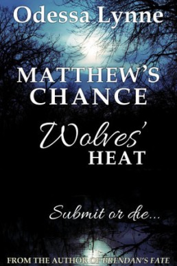 Matthew's Chance (Wolves' Heat #4)