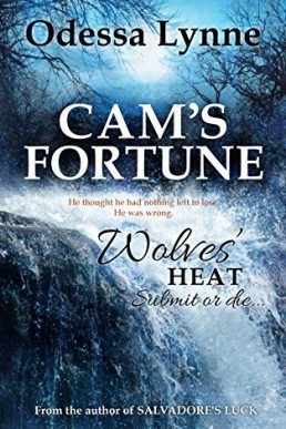 Cam's Fortune (Wolves' Heat #6)