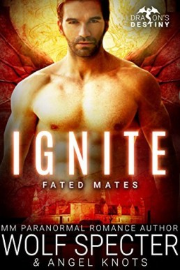 Ignite (Dragon's Destiny Fated Mates 3)