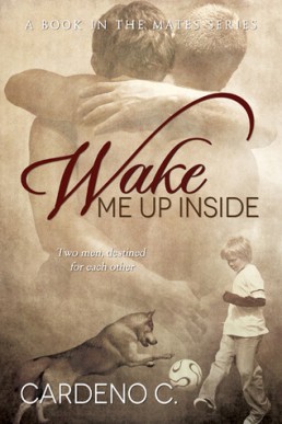 Wake Me Up Inside (Mates #1)