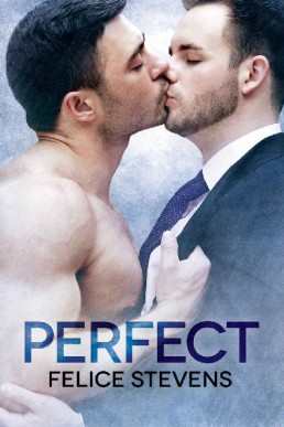 Perfect (Soulmates #4)