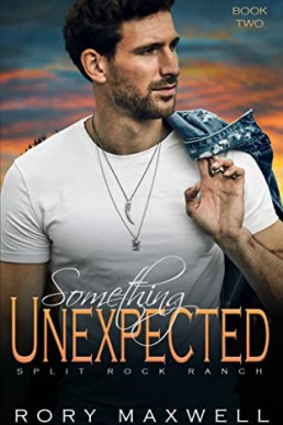 Something Unexpected  (Split Rock Ranch 2)