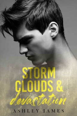 Storm Clouds and Devastation (Hidden Affairs Book 2)