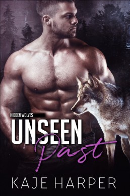 Unseen Past (Hidden Wolves 0.5)