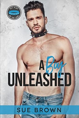 A Boy Unleashed (Pet Play by the Lake 8)