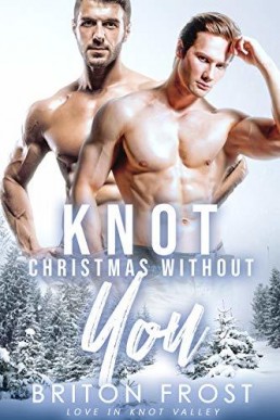 Knot Christmas Without You (Love in Knot Valley 5)