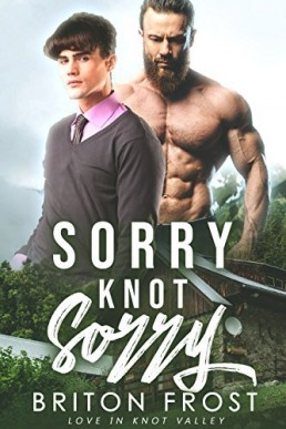 Sorry Knot Sorry (Love in Knot Valley 2)