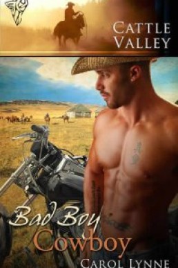 Bad Boy Cowboy (Cattle Valley 7)