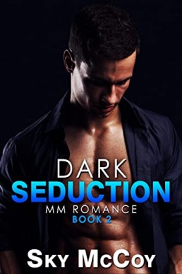 Dark Seduction (Dark Passion 2)