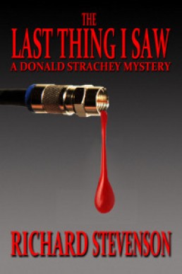 The Last Thing I Saw  (Donald Strachey Mystery #13)