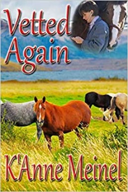 Vetted Again (Vetted Book 5)