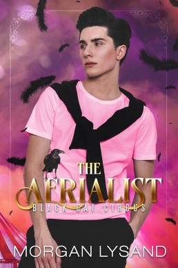 The Aerialist (Black Cat Circus #3)