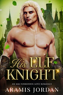 His Elf Knight (Folk of Vale #2)