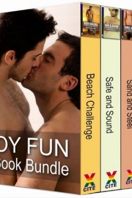 Boy Fun, Four Book Bundle