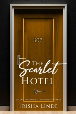 Room 307 (The Scarlet Hotel #5)