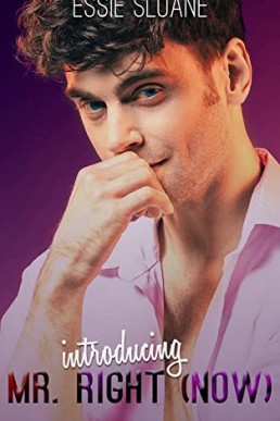 Introducing Mr. Right (Now) (Introductions Book 1)