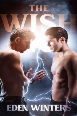 The Wish (The Wish #1 SECOND EDITION)