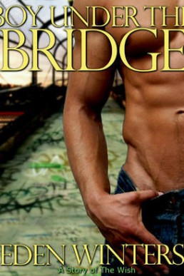 Boy Under the Bridge (The Wish #2)