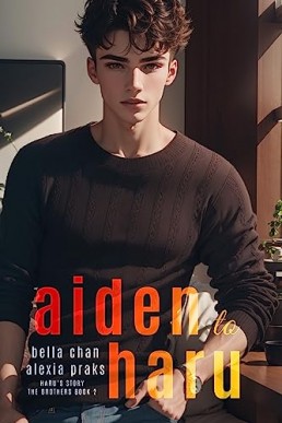 Aiden to Haru (The Brothers 2)