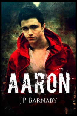 Aaron (Survivor Stories #1)